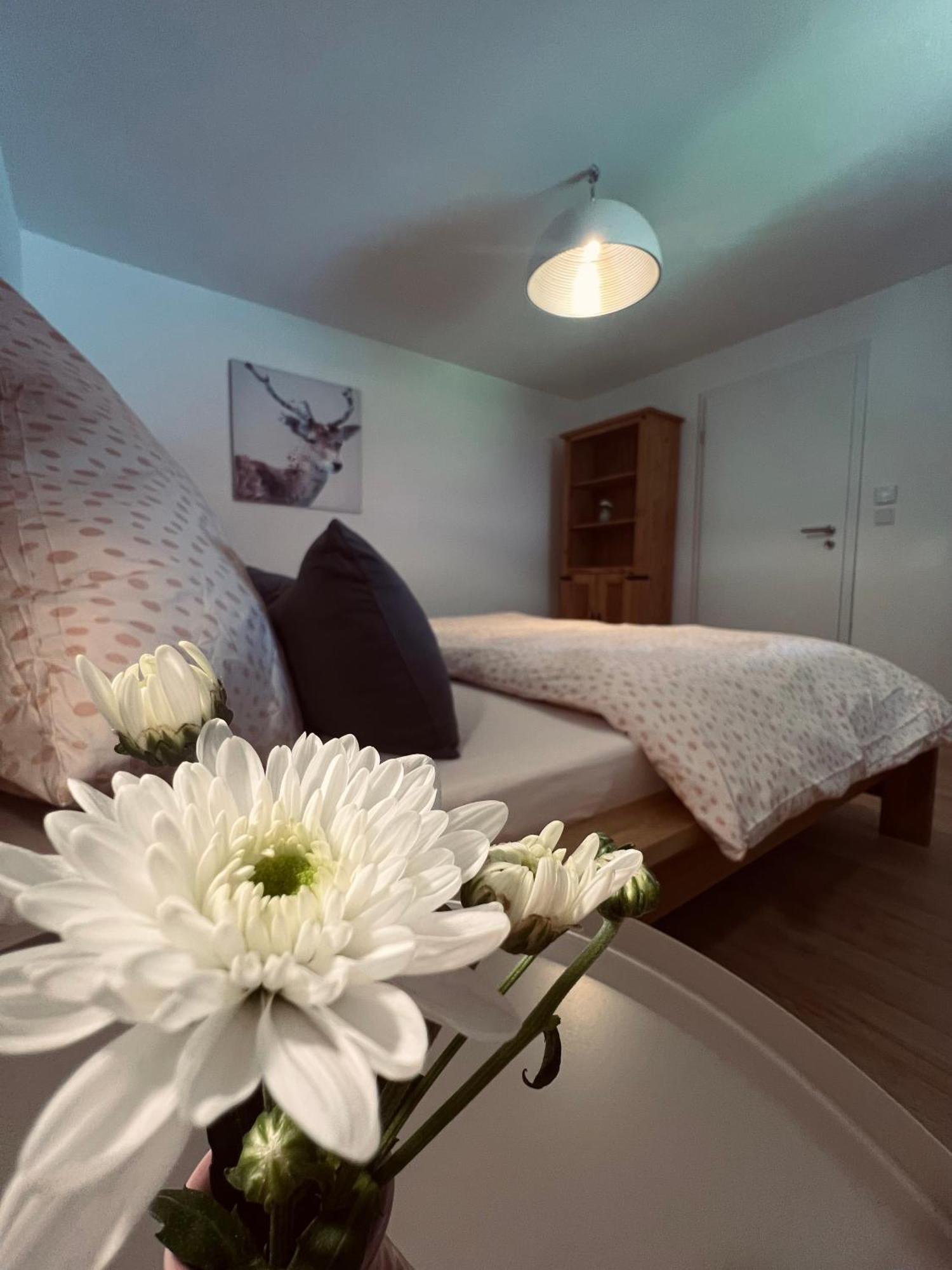 Ferienwohnung Leonie اوبيرو المظهر الخارجي الصورة